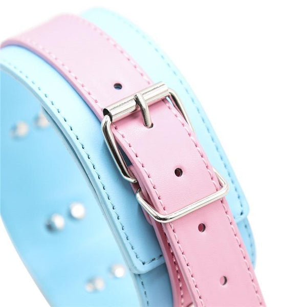 Cute Pastel Pink And Blue Collar With Leash  Puppy Pet Play Collars & Leashes