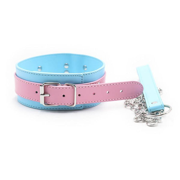 Cute Pastel Pink And Blue Collar With Leash  Puppy Pet Play Collars & Leashes
