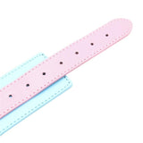 Cute Pastel Pink And Blue Collar With Leash Bdsm Puppy Pet Play