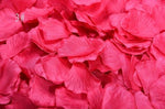 Rose Petals Romance Passion Decoration Erotic Photography Bdsm Kink Fetish