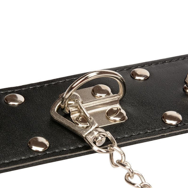 Spiked Leash  Play Accessories Collars & Leashes