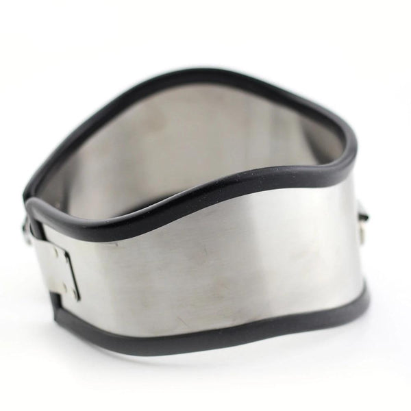 Posture  Rubber Lined Stainless Steel Locking Collar Collars & Leashes