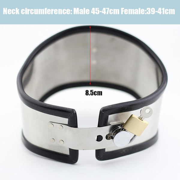 Posture  Rubber Lined Stainless Steel Locking Collar Collars & Leashes