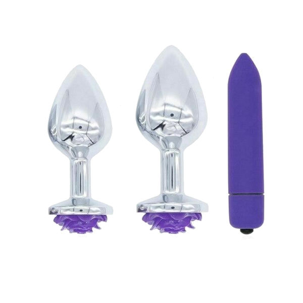 Purple Rose Stainless Steel Anal Plugs 3 Sizes Vibrating  Butt Set Non Vibrating Butt Plugs