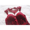 Regal Lingerie Set Women Bras & Bra Sets