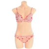 Strawberry Plaid Lingerie Set Bras & Bra Sets