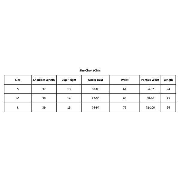 Embroidered Floral Sheer  Chain Bra Set Bras & Bra Sets