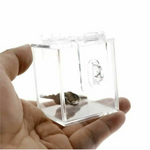 Chastity Toys House Of Dasein The Chastity Key Safe Acrylic Box Sex Toy Bdsm Fetish