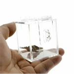 The Chastity Key Safe Acrylic Box Sex Toy Bdsm Fetish