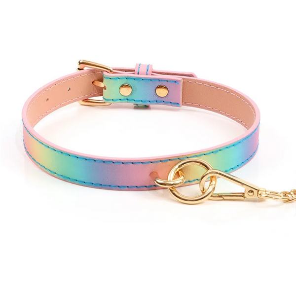 Adult Sm Products   Rainbow Neck Collar And Flirting Leash Collars & Leashes