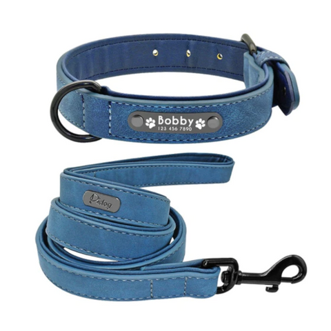 Hod Health And Home Vibrant Colours Personalized Dog Collars Leashes Leads & Head Collars